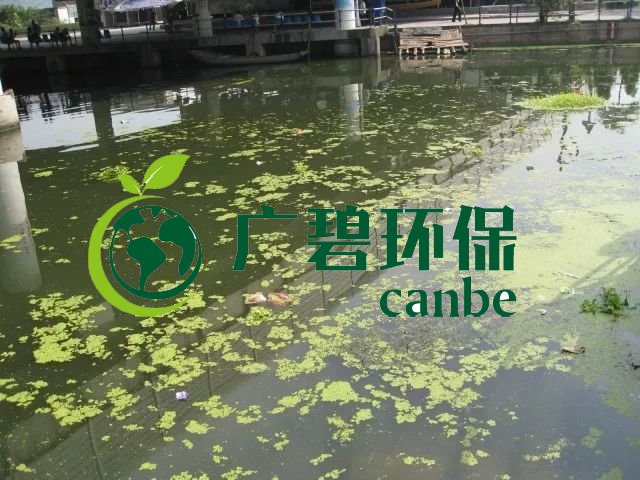 城市黑臭河道如何治理？河道黑臭水體治理思路(圖3)
