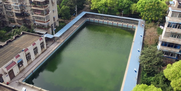 游泳池水變綠是什么原因？游泳池水處理方法