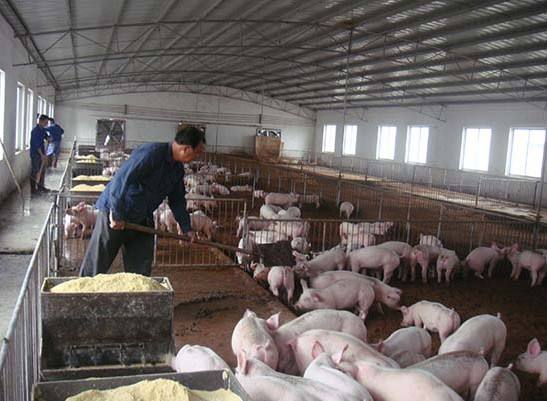 什么是養(yǎng)殖廢水？養(yǎng)殖廢水處理工藝