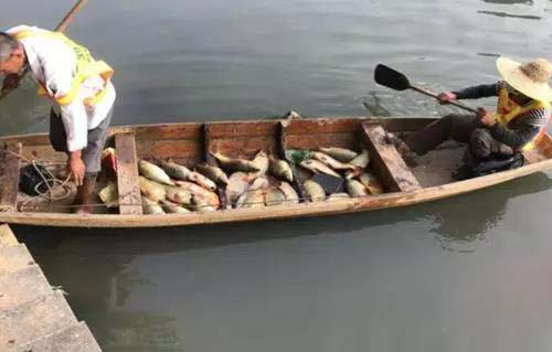 廣州旺旺食品廢水直排，永和河大量魚類死亡