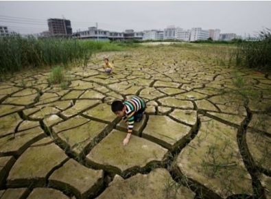 【世界土壤日】《土壤污染防治法》有哪些亮點？